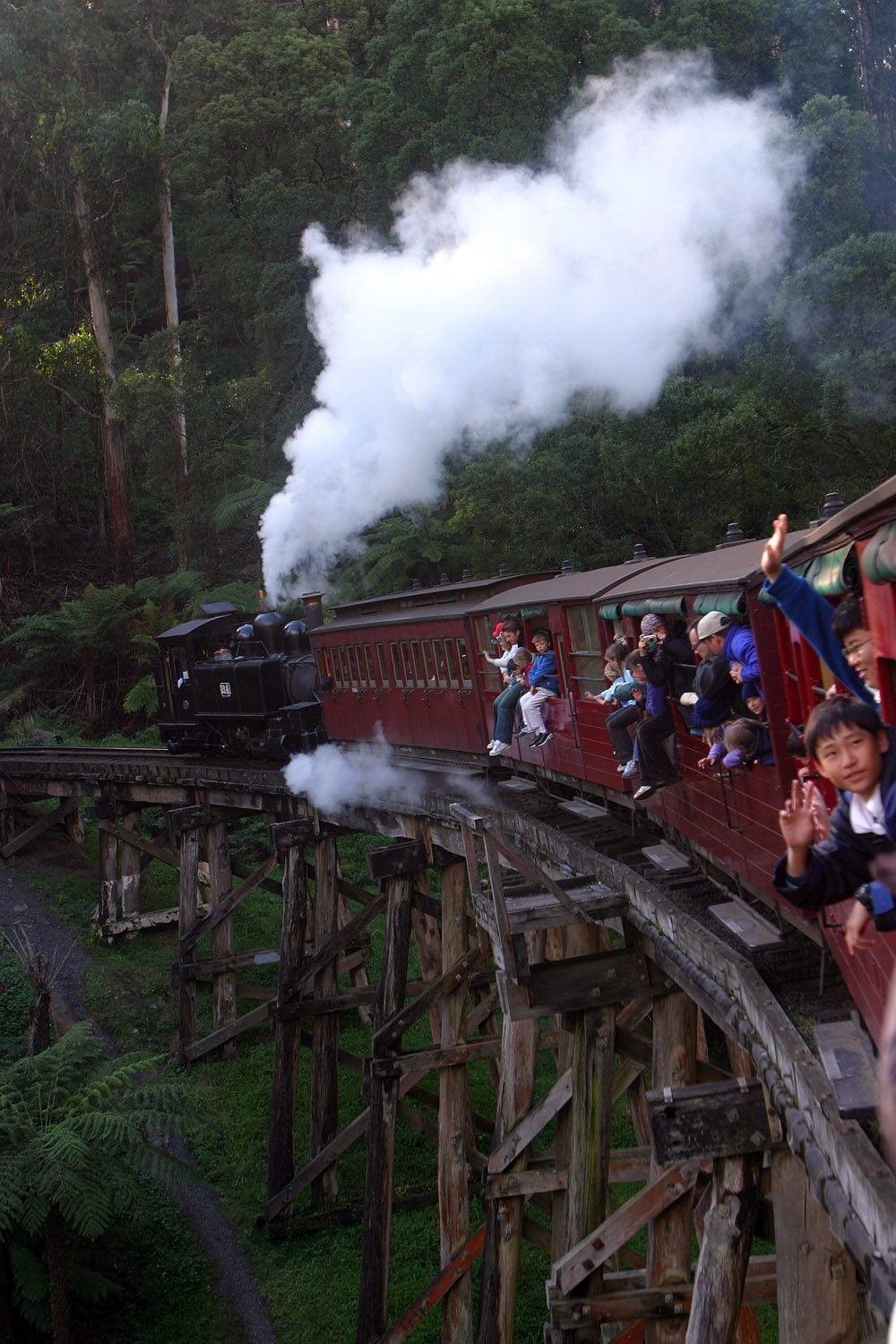 Puffing Billy steam train crossing the Monbulk Creek trestle bridge in the Dandenong Ranges